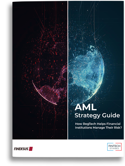 AML Strategy Guide