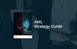 AML Strategy Guide