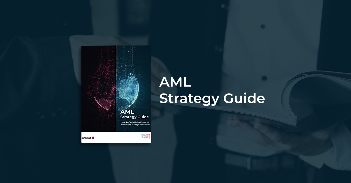AML Strategy Guide