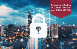 Regulatory Bodies in Turkey MASAK and BRSA (BDDK)